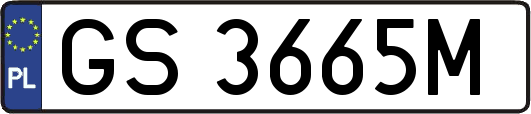GS3665M