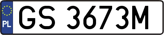 GS3673M