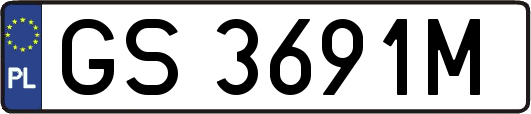GS3691M