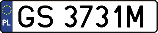GS3731M