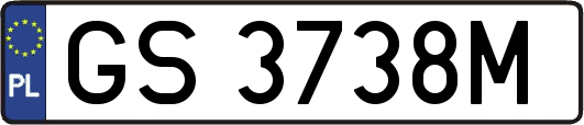 GS3738M