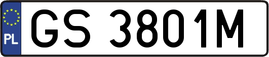 GS3801M