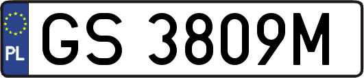GS3809M