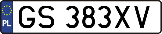 GS383XV