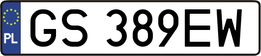 GS389EW