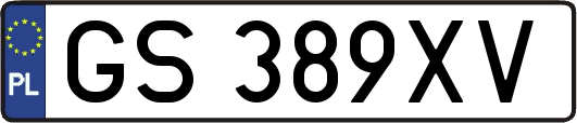 GS389XV