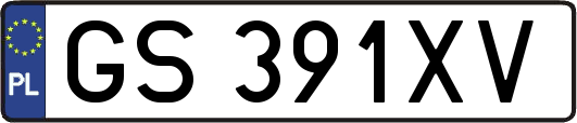 GS391XV