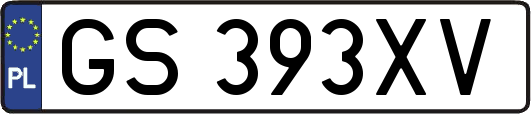 GS393XV