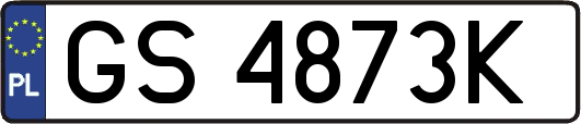 GS4873K