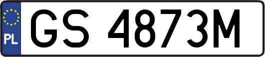 GS4873M