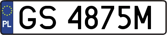 GS4875M