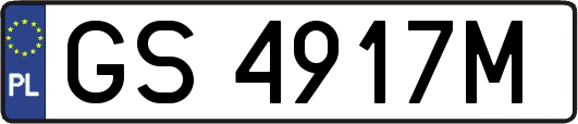 GS4917M