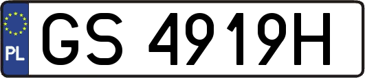 GS4919H