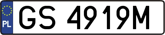 GS4919M