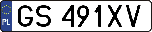 GS491XV