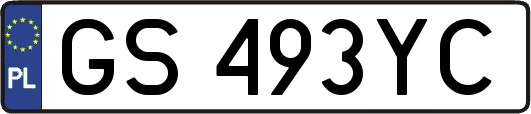 GS493YC