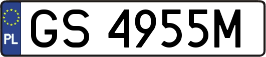 GS4955M