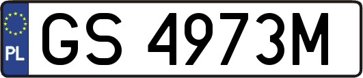 GS4973M