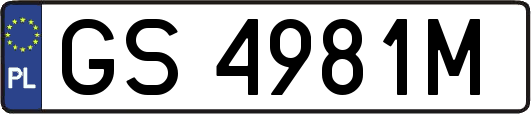 GS4981M