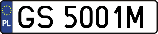GS5001M