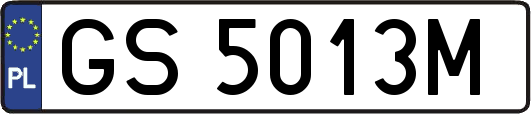 GS5013M