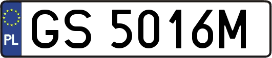 GS5016M
