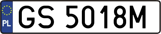 GS5018M