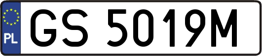 GS5019M
