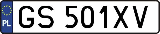 GS501XV