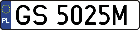 GS5025M