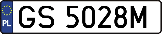 GS5028M
