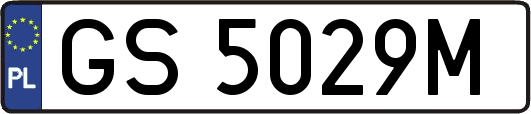 GS5029M