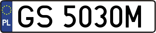 GS5030M