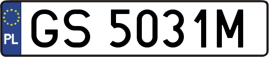 GS5031M