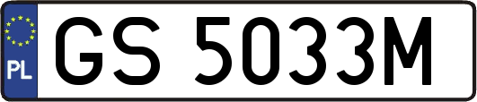 GS5033M