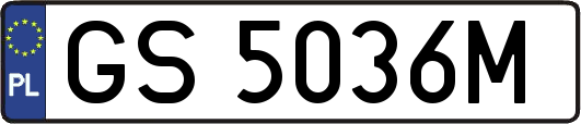 GS5036M