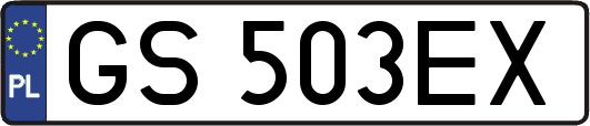 GS503EX