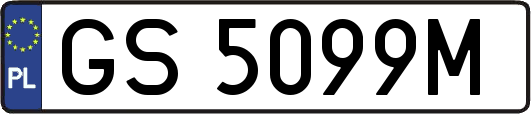 GS5099M