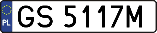 GS5117M