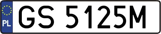 GS5125M