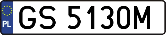 GS5130M