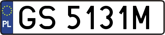 GS5131M