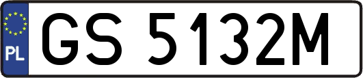 GS5132M