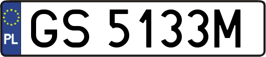 GS5133M