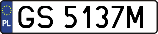 GS5137M