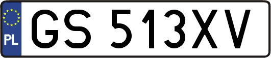 GS513XV