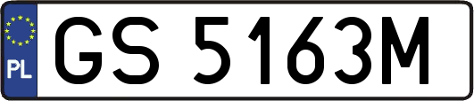 GS5163M