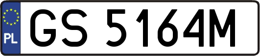 GS5164M