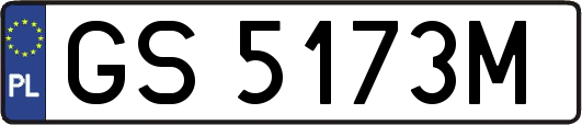 GS5173M