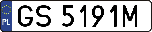 GS5191M